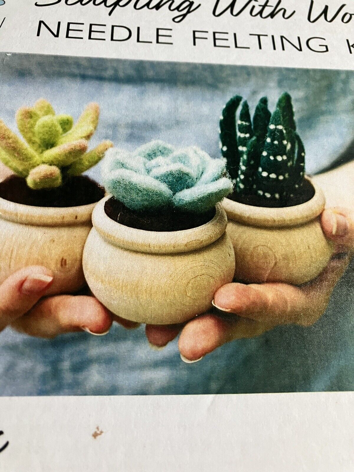 Felted Sky Succulents Sculpting With Wool  Kit