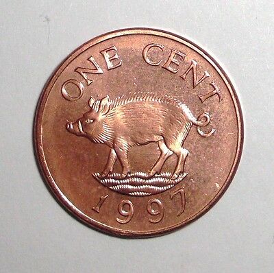 1997 Bermuda 1 Cent, Wild Boar, Pig, Animal Wildlife Coin