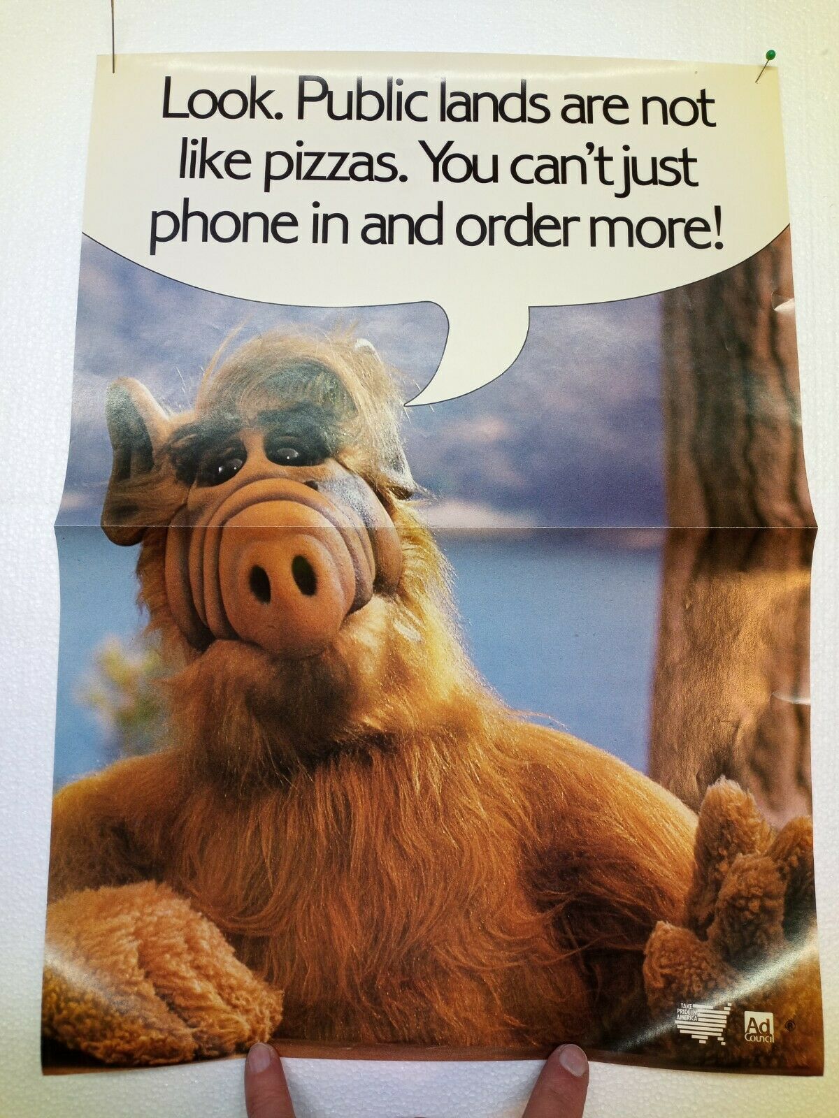 Vintage Alf Poster 17" X 12" Alien Life Form Public Lands Are Not Like Pizzas