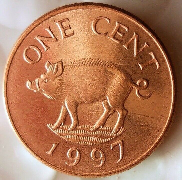1997 Bermuda Cent - Pig - Au/unc - Exotic Scarce Coin - Free Ship - Bin #fff